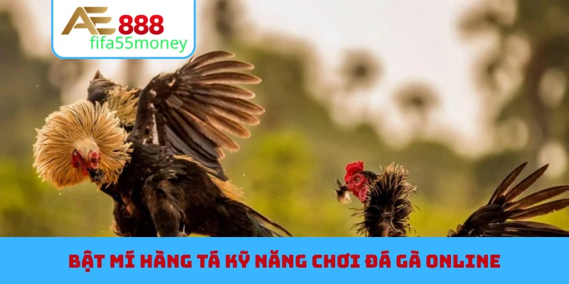 Bật mí hàng tá kỹ năng chơi đá gà online