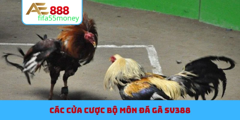 Các cửa cược bộ môn đá gà SV388