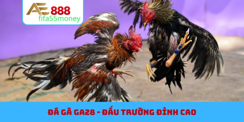 Đá Gà GA28