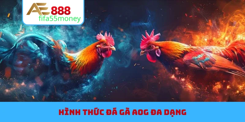 Hình thức đá gà AOG đa dạng