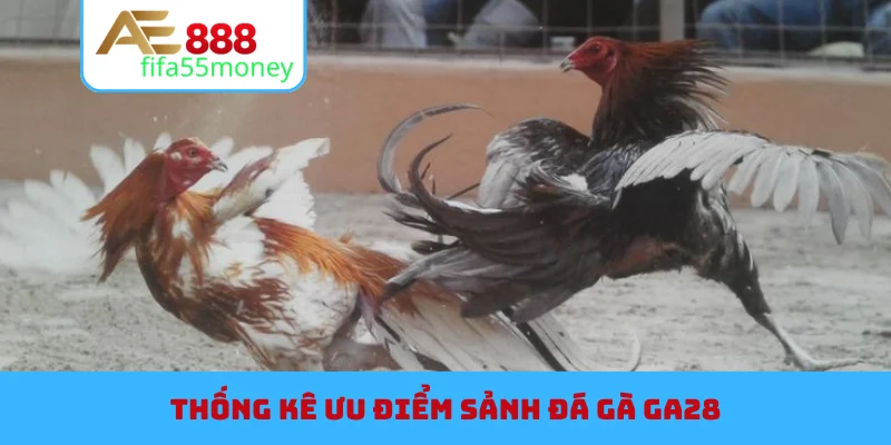 Thống kê ưu điểm sảnh đá gà GA28
