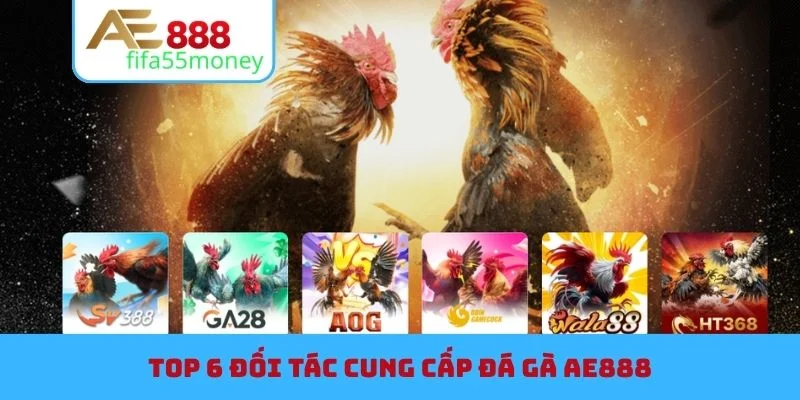 Top 6 đối tác cung cấp đá gà AE888